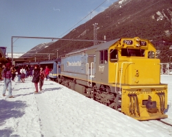Tranz Alpine